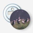 Search for puffin barware Wildlife