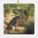Search for lioness christmas tree decorations Predator