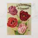 Search for seeds postcards Vintage