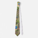 Search for peacock ties Men's