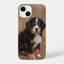 Search for bernese iphone cases Canine