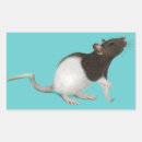 Search for pet rat stickers Cute