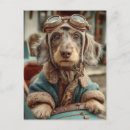 Search for retro dachshund postcards Dog
