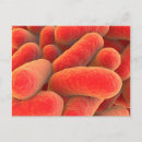 Search for pathology postcards Organism