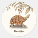 Search for cute tortoise stickers Illustration