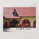 Search for budweiser Clydesdale