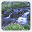 Search for mt washington stickers Creek