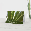 Search for yucca cards Photography