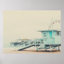 Search for ferris Photography