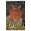 Search for toad office supplies Frogs