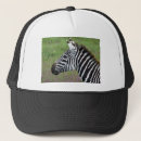Search for zebra stripes hats Safari