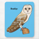 Search for the barn owl electronics Tyto alba