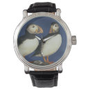 Search for puffin watches Sea bird