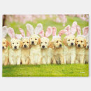 Search for easter rectangular magnets Avanti press