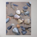 Search for pebble posters Beach