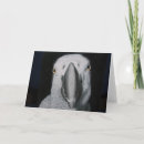 Search for avian cards Grey