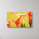 Search for callas art Lily