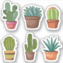 Search for flower pots stickers Desert