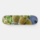 Search for east skateboards Asia