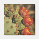 Search for thorns magnets Nature