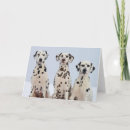 Search for dalmation puppy postcards Animal