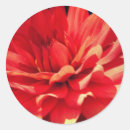Search for red dahlia stickers Floral