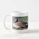 Search for canada goose mugs Wildlife