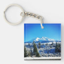 Search for shasta key rings California