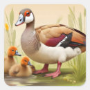Search for goose photo stickers Animal