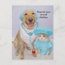 Search for veterinary reminder postcards Dogs