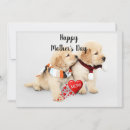 Search for golden retriever mothers day cards Cute