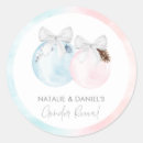 Search for winter gender reveal Boy or girl