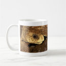Search for loggerhead sea turtle mugs Nature