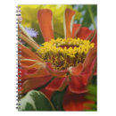 Search for adams notebooks Red