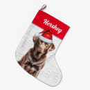 Search for chocolate lab christmas stockings For pets