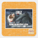 Search for sized stickers I can has cheezburger