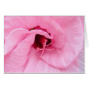 Search for hybiscus Flower