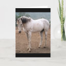 Search for thoroughbred cards Racing