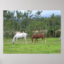 Search for graphic horses posters Graphics