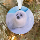 Search for baby seal christmas tree decorations Wildlife