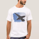Search for warbird tshirts Aeroplane