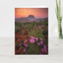 Search for parkland postcards Flower