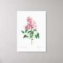 Search for vintage botanical canvas prints Plant