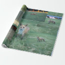 Search for red foxes wrapping paper Animals
