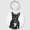 Search for staffordshire bull terrier key rings Pet