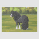 Search for gypsy vanner horse Horses