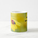 Search for ladybird mugs Nature