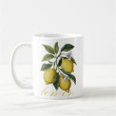 Search for citrus design mugs Botanical illustration