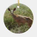 Search for mule christmas tree decorations Nature