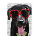 Search for sunglasses magnets Animals